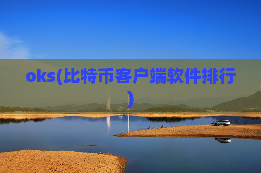 oks(比特币客户端软件排行)