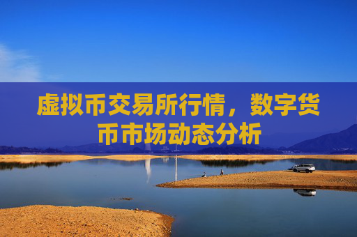 虚拟币交易所行情,数字货币市场动态分析
