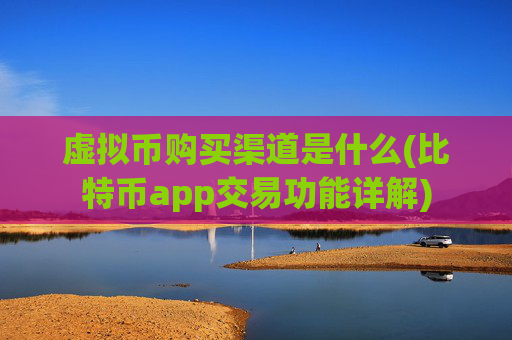 虚拟币购买渠道是什么(比特币app交易功能详解)