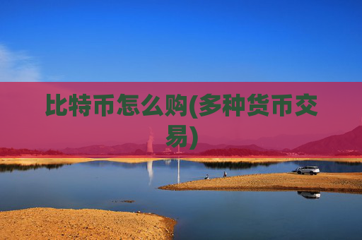 比特币怎么购(多种货币交易)