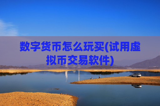 数字货币怎么玩买(试用虚拟币交易软件)