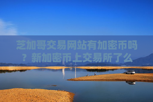 芝加哥交易网站有加密币吗？新加密币上交易所了么
