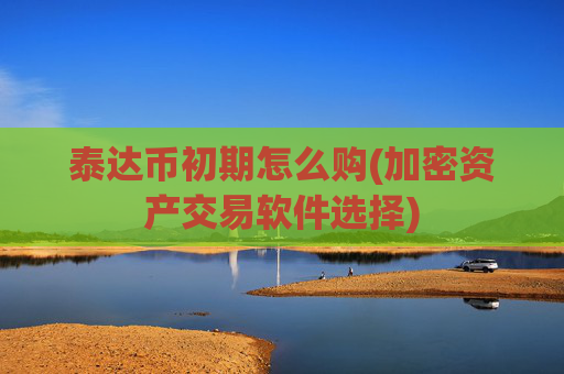 泰达币初期怎么购(加密资产交易软件选择)