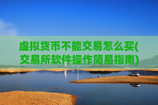 虚拟货币不能交易怎么买(交易所软件操作简易指南)