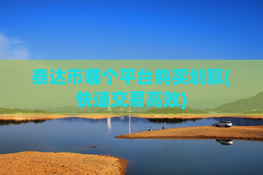 泰达币哪个平台购买划算(快速交易高效)