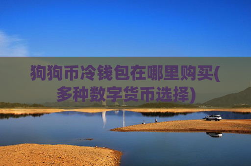 狗狗币冷钱包在哪里购买(多种数字货币选择)