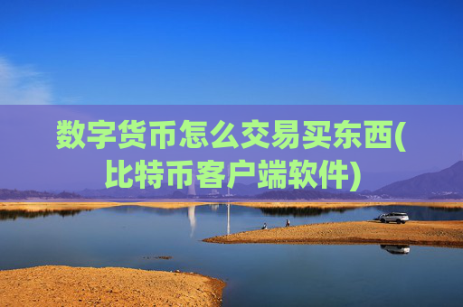 数字货币怎么交易买东西(比特币客户端软件)
