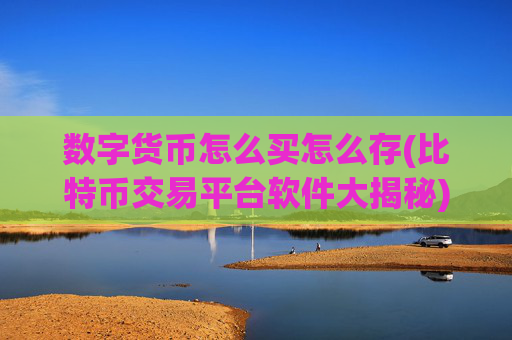 数字货币怎么买怎么存(比特币交易平台软件大揭秘)