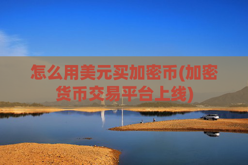 怎么用美元买加密币(加密货币交易平台上线)