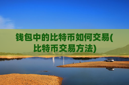 钱包中的比特币如何交易(比特币交易方法)