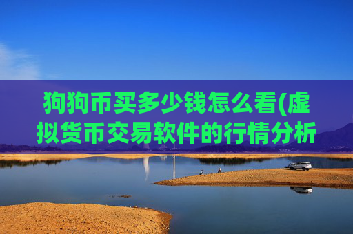 狗狗币买多少钱怎么看(虚拟货币交易软件的行情分析)