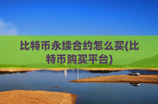 比特币永续合约怎么买(比特币购买平台)