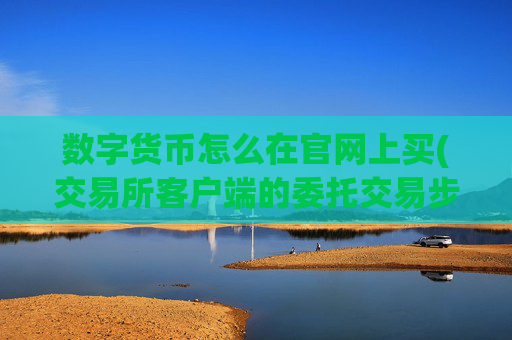 数字货币怎么在官网上买(交易所客户端的委托交易步骤)