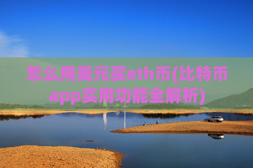 怎么用美元买eth币(比特币app实用功能全解析)