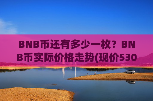 BNB币还有多少一枚?BNB币实际价格走势(现价5309.7元)