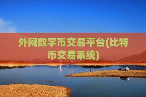 外网数字币交易平台(比特币交易系统)