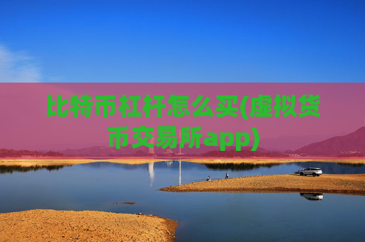 比特币杠杆怎么买(虚拟货币交易所app)