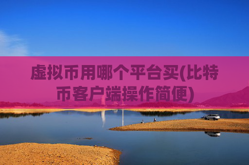 虚拟币用哪个平台买(比特币客户端操作简便)
