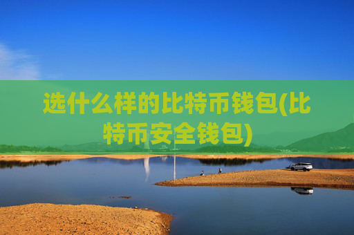 选什么样的比特币钱包(比特币安全钱包)