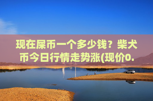 现在屎币一个多少钱?柴犬币今日行情走势涨(现价0.00022565元)