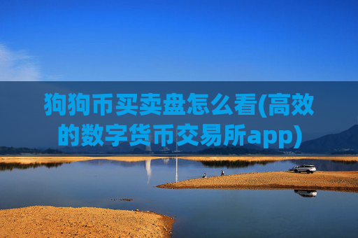 狗狗币买卖盘怎么看(高效的数字货币交易所app)