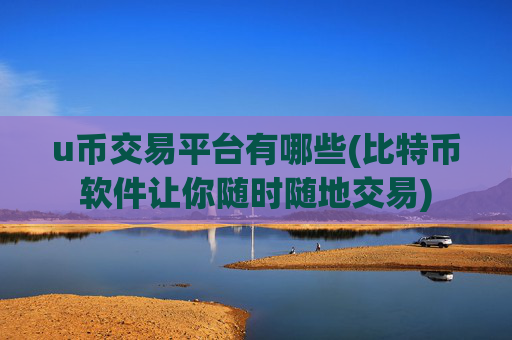 u币交易平台有哪些(比特币软件让你随时随地交易)