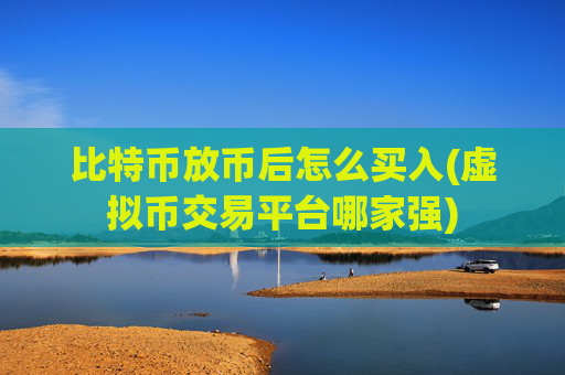 比特币放币后怎么买入(虚拟币交易平台哪家强)