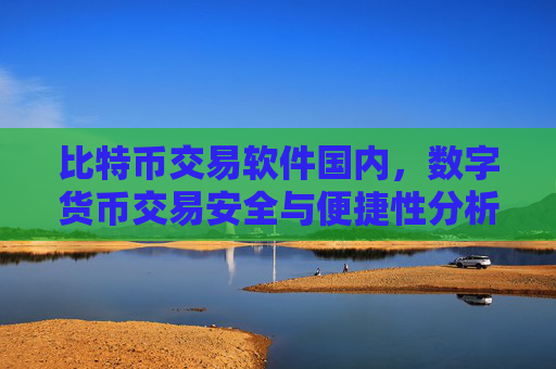 比特币交易软件国内，数字货币交易安全与便捷性分析