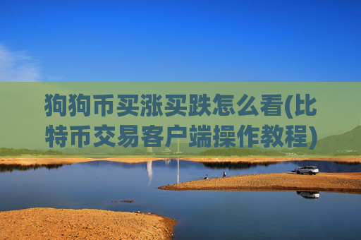 狗狗币买涨买跌怎么看(比特币交易客户端操作教程)