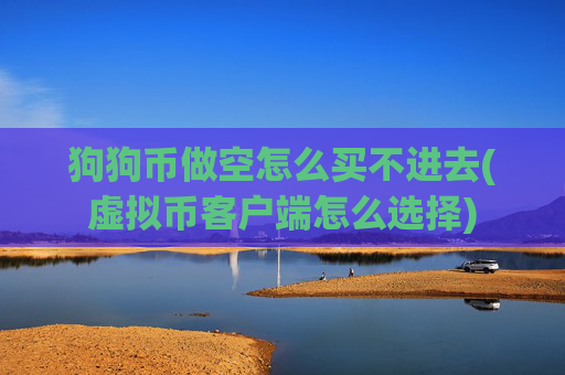 狗狗币做空怎么买不进去(虚拟币客户端怎么选择)