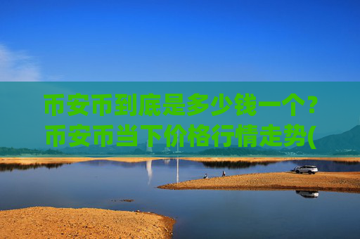 币安币到底是多少钱一个？币安币当下价格行情走势(现价5293.69元)