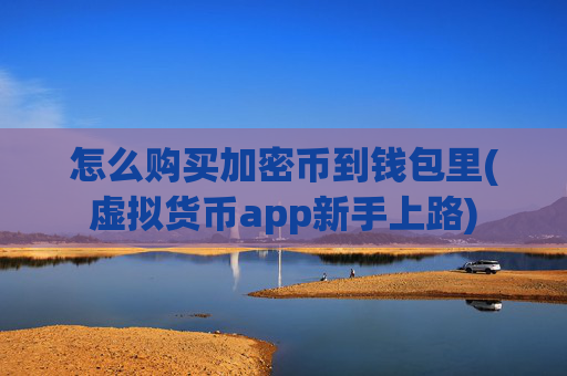 怎么购买加密币到钱包里(虚拟货币app新手上路)