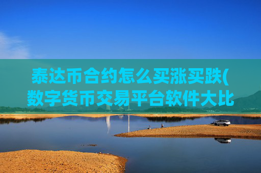 泰达币合约怎么买涨买跌(数字货币交易平台软件大比拼)