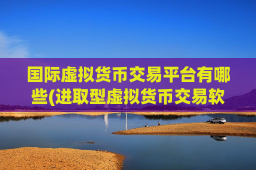 国际虚拟货币交易平台有哪些(进取型虚拟货币交易软件)