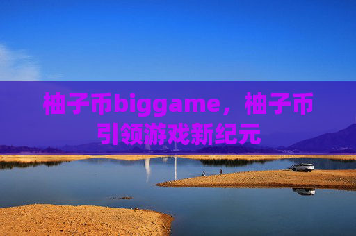 柚子币biggame,柚子币引领游戏新纪元