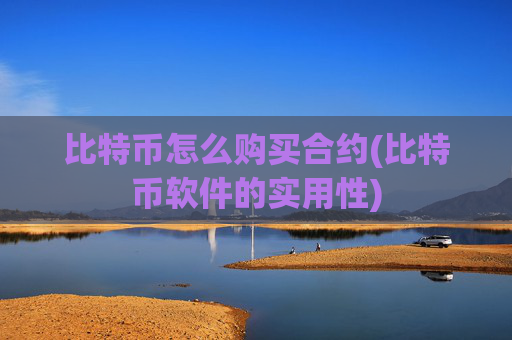 比特币怎么购买合约(比特币软件的实用性)