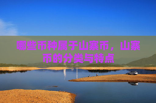 哪些币种属于山寨币,山寨币的分类与特点