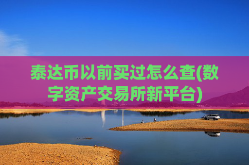 泰达币以前买过怎么查(数字资产交易所新平台)