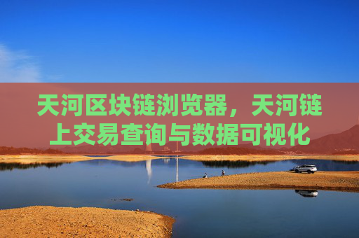天河区块链浏览器,天河链上交易查询与数据可视化