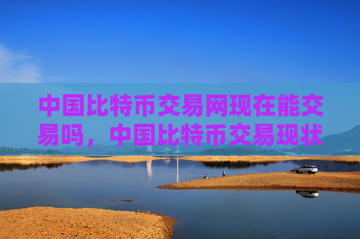中国比特币交易网现在能交易吗，中国比特币交易现状分析