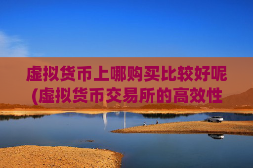 虚拟货币上哪购买比较好呢(虚拟货币交易所的高效性)