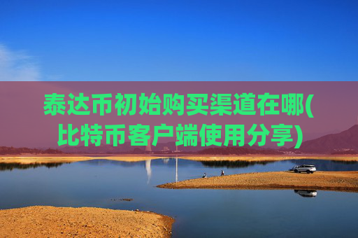 泰达币初始购买渠道在哪(比特币客户端使用分享)