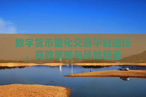 数字货币量化交易平台选择，高效策略与风险管理