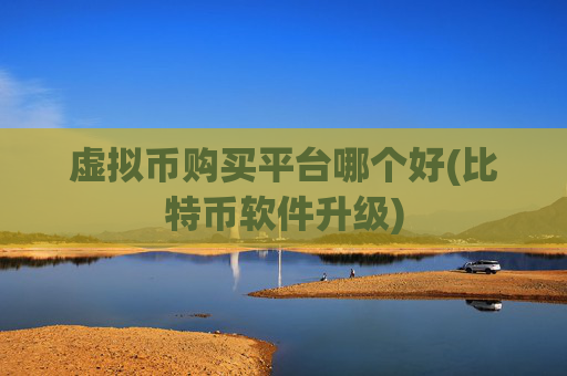 虚拟币购买平台哪个好(比特币软件升级)