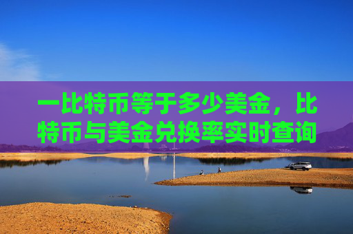 一比特币等于多少美金,比特币与美金兑换率实时查询
