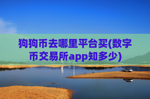 狗狗币去哪里平台买(数字币交易所app知多少)