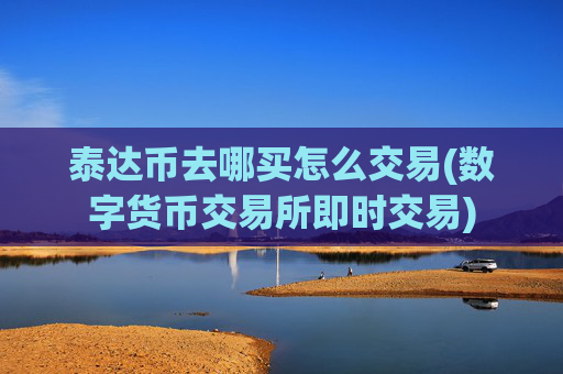 泰达币去哪买怎么交易(数字货币交易所即时交易)