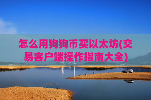 怎么用狗狗币买以太坊(交易客户端操作指南大全)