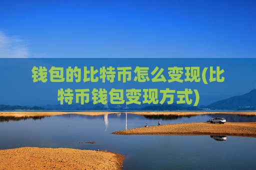 钱包的比特币怎么变现(比特币钱包变现方式)