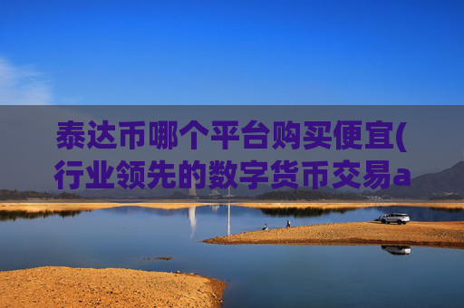泰达币哪个平台购买便宜(行业领先的数字货币交易app)